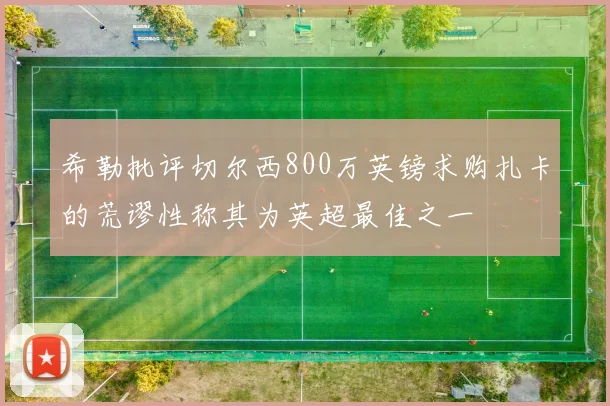 希勒批评切尔西800万英镑求购扎卡的荒谬性称其为英超最佳之一