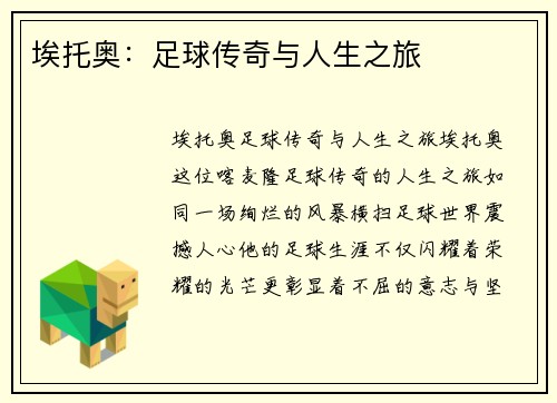 埃托奥：足球传奇与人生之旅